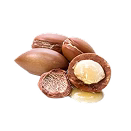 Olio di Argan